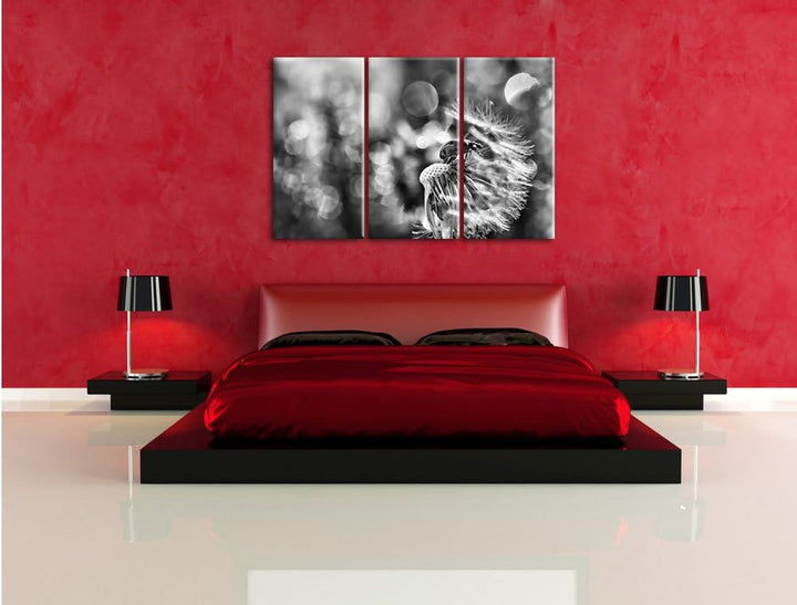 Pixxprint Marienkäfer auf Pusteblume als Leinwandbild/Grösse: 3 Teilig (120x80) cm/Wandbild/Kunstdru