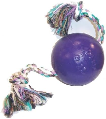 Jolly Pets (2 Pack) Romp-n-Roll 4.5 inch Purple | Rubber Ball with Rope for Dogs, One Size Purpur