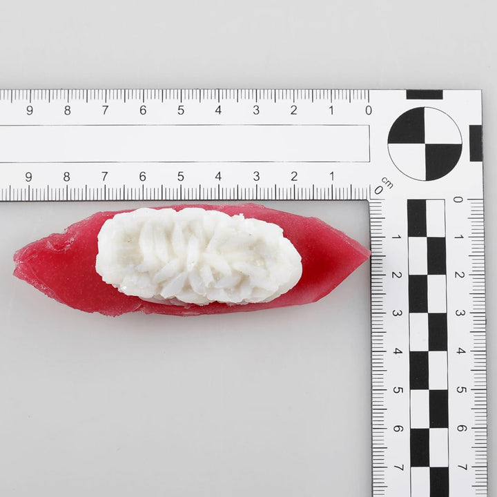 Deko-Sushi-Set 4 Stück rot/orange Dekorationsbedarf Naturgetreue Lebensmittel Attrappe - Künstliches