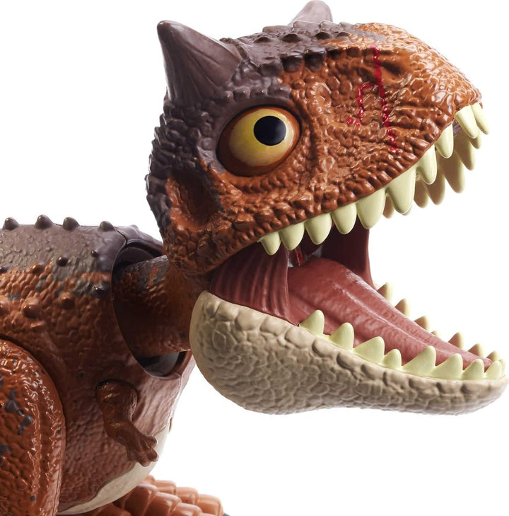 Jurassic World HBY85 - Beissangriff Carnotaurus Toro-Dinosaurier-Actionfigur, Dinosaurier Spielzeug