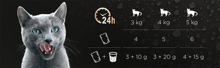 Sheba Fresh Cuisine Taste of Tokyo - Hochwertiges Katzen Nassfutter - Thunfisch und Lachs (MSC) - Im