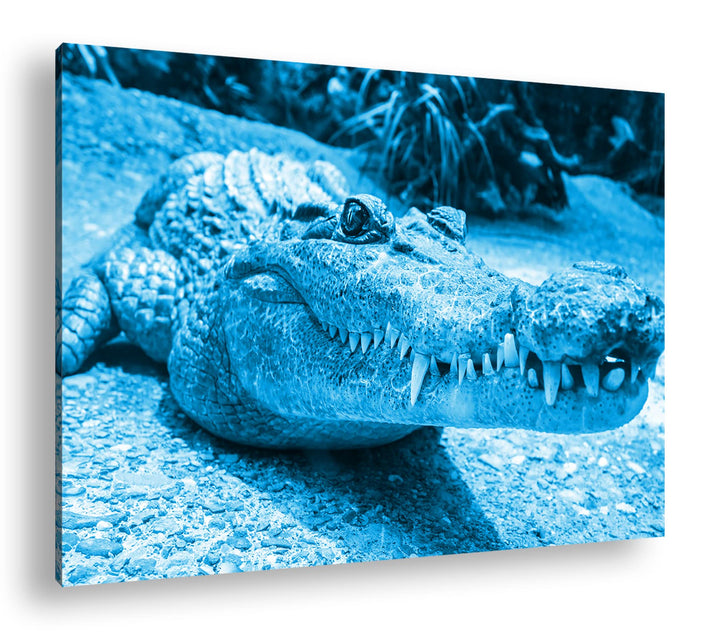 deyoli Anmutiges Krokodil Format 80x60 Effekt: Monocrome Blau als Leinwandbild, Motiv fertig gerahmt
