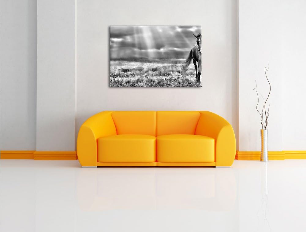 Pixxprint Hengst auf Wiese / 100x70cm Leinwandbild bespannt auf Holzrahmen/Wandbild Kunstdruck Dekor
