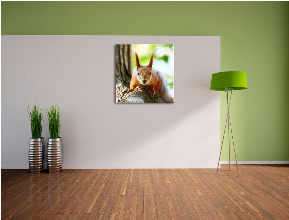 Pixxprint interessantes Eichhörnchen auf dem Baum, Format: 70x70 auf Leinwand, 70x70