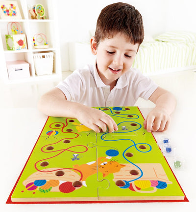 Hape Home Education x