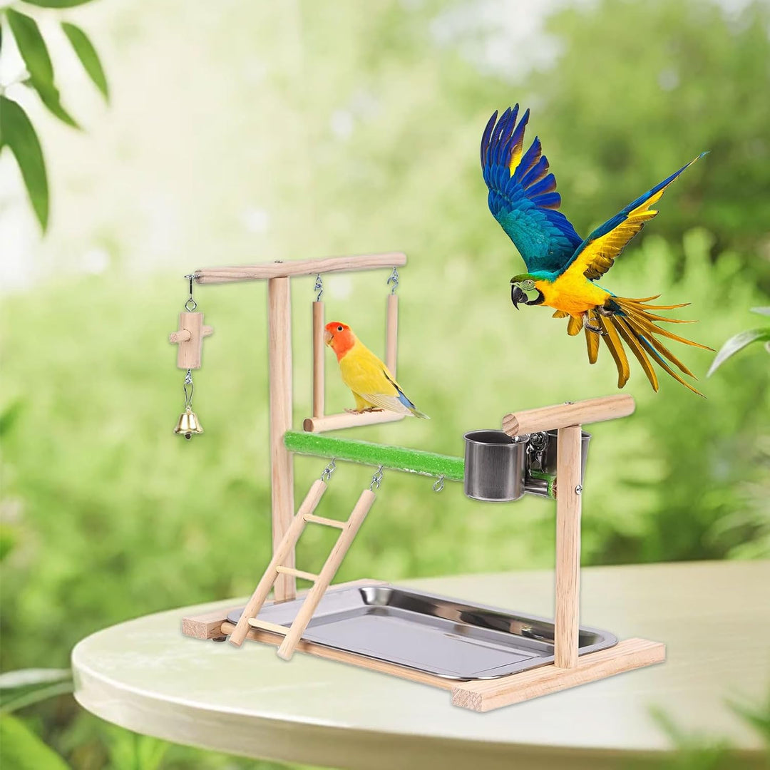 Vogel Spielplatz, Holz Wellensittich Spielplatz Freisitz mit 2 Edelstahl Feeder-Cup Spielzeug Leiter