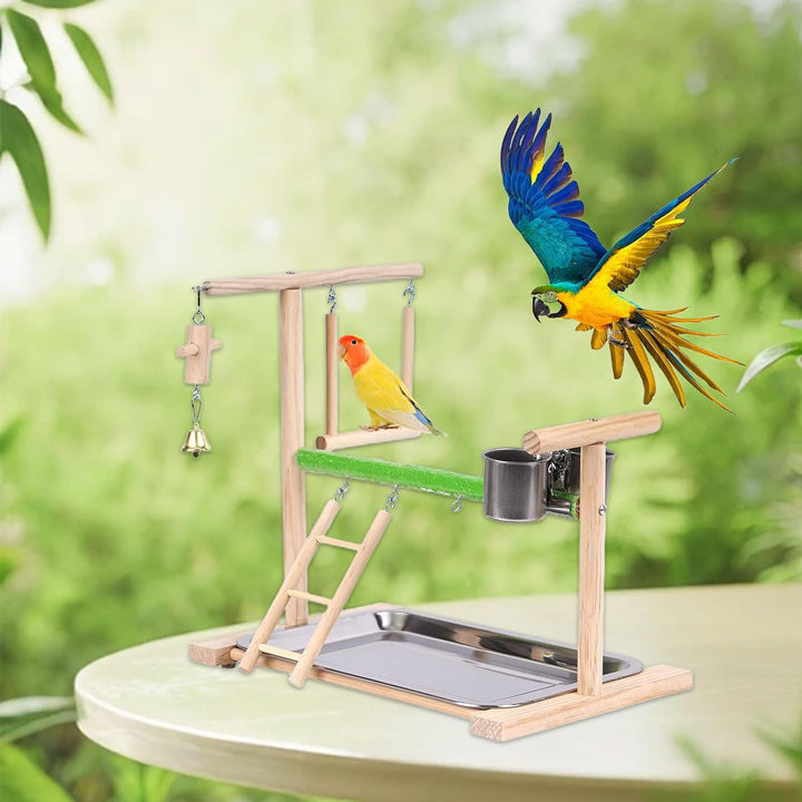 Vogel Spielplatz, Holz Wellensittich Spielplatz Freisitz mit 2 Edelstahl Feeder-Cup Spielzeug Leiter