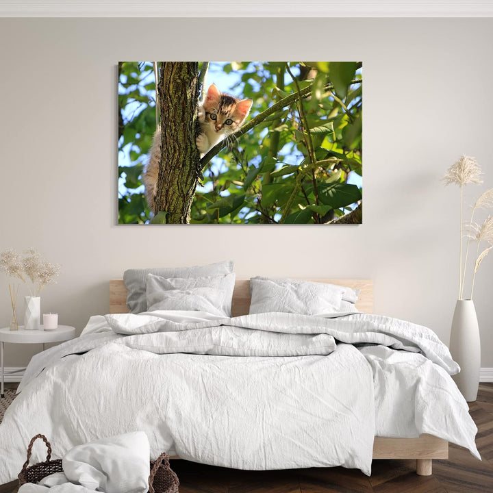 Leinwand (60x40cm): Katzenbaby im Baum süss Katzenbilder Katzen 60x40 cm, 60x40 cm