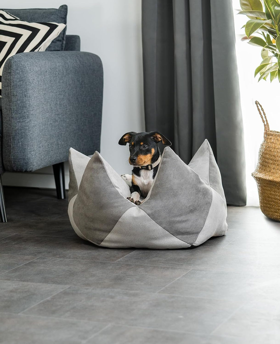 lionto Kronenkissen Sternenkissen Hundebett Katzenbett Haustierkissen, 60x35 cm grau/hellgrau Grau/H