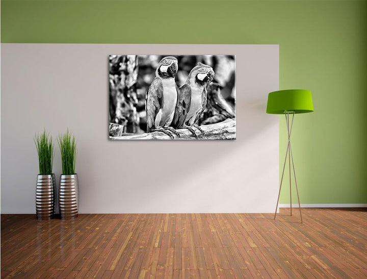 Monocrome, Zwei Papageien, Format: 100x70 auf Leinwand, XXL riesige Bilder fertig gerahmt mit Keilra