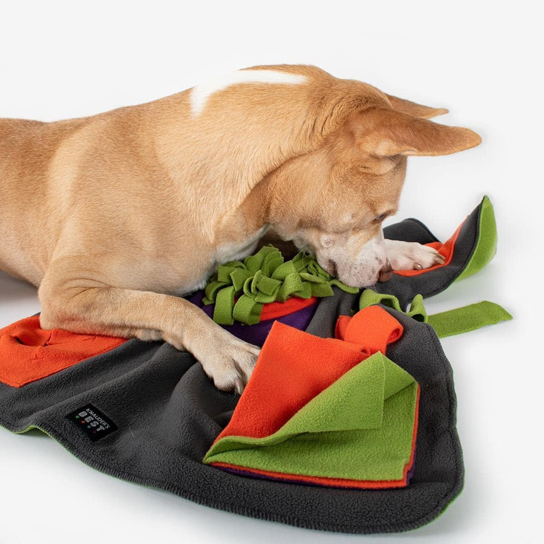 KNAUDERS Best Sniffpad Happy - Spannende Variations-Spiele von Knauder&