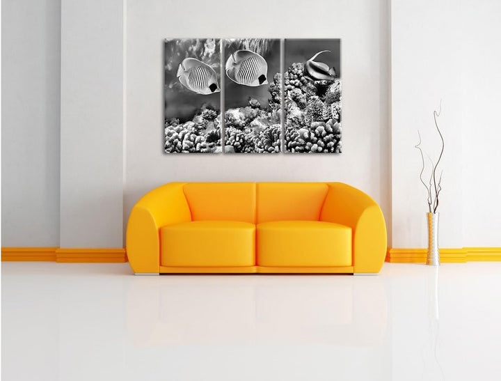 Pixxprint Tropen Fische als Leinwandbild/Grösse: 3 Teilig (120x80) cm/Wandbild/Kunstdruck/fertig bes