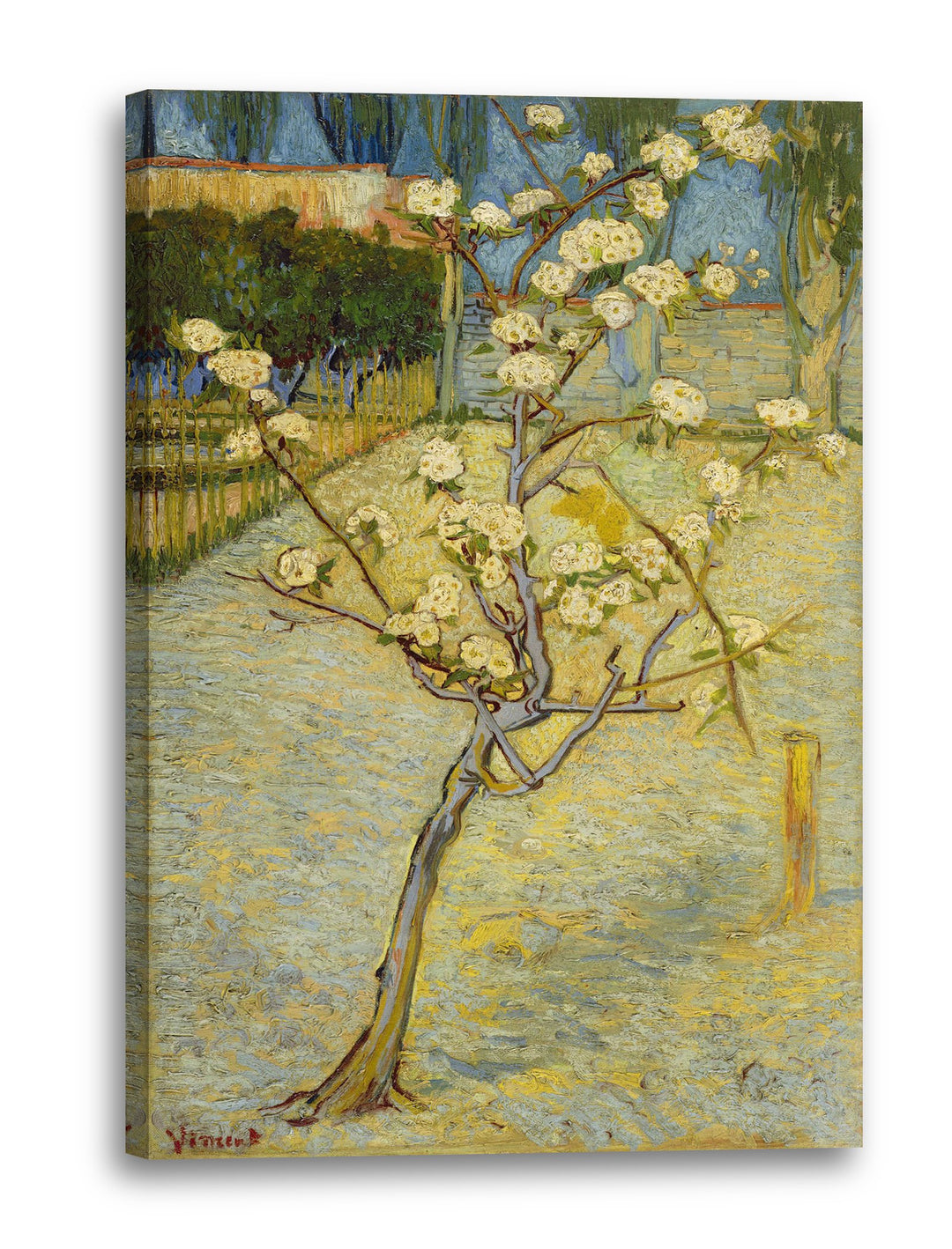 Printed Paintings Leinwandbild (40x60cm) Vincent Van Gogh: Blühender Kleiner Birnenbaum, Leinwand au
