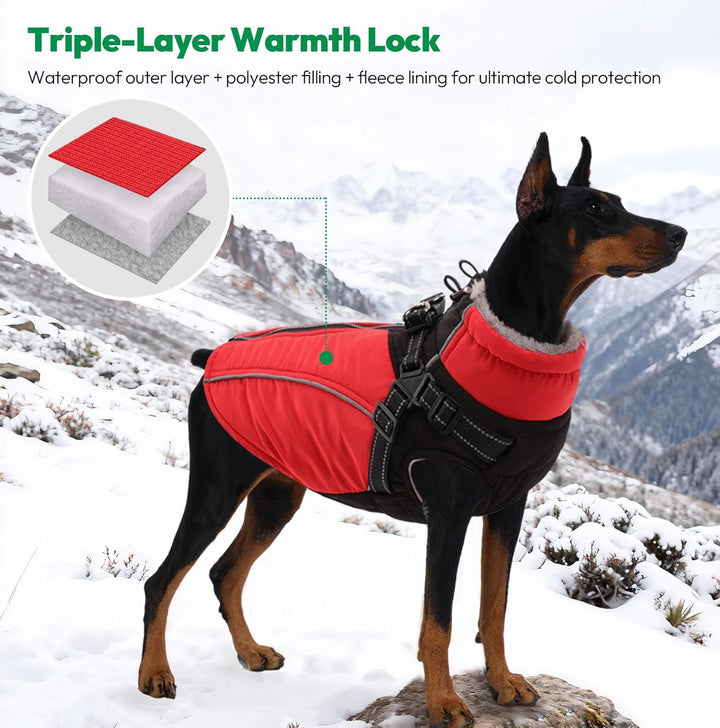 Hundemantel mit Geschirr Hundejacke für Kleine und Mittelgrosse Hunde Gepolsterte Wasserdicht Winter