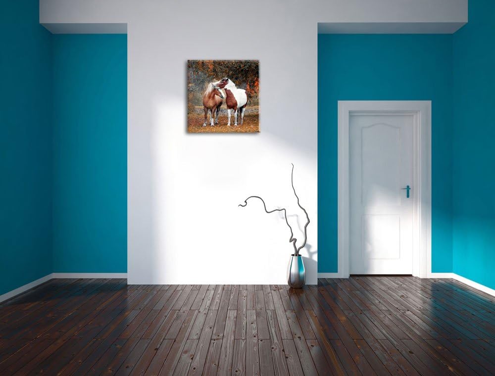 zwei schmusende Pferde, Format: 70x70 auf Leinwand, XXL riesige Bilder fertig gerahmt mit Keilrahmen