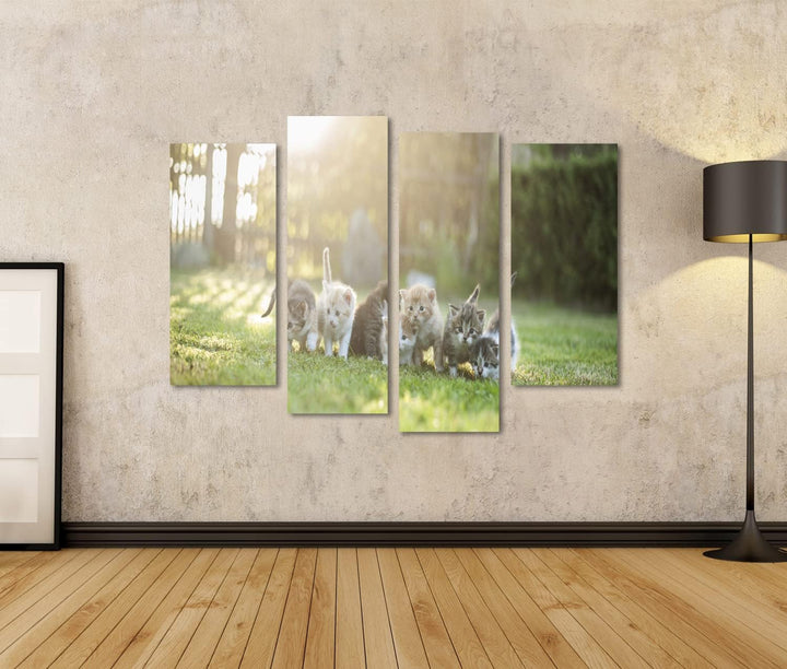 islandburner Bild auf Leinwand Sieben Junge Katzen Kätzchen Auf Der Wiese Bilder Wandbilder Poster L