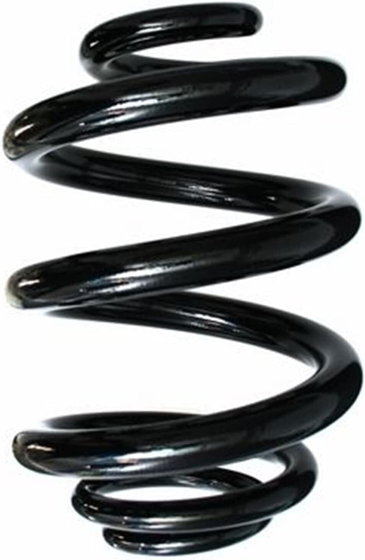 SPIDAN 85529 Fahrwerksfeder