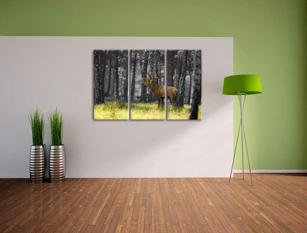 Pixxprint röhrender Hirsch im Wald als Leinwandbild | Grösse: 3 Teilig (120x80) | Wandbild| Kunstdru