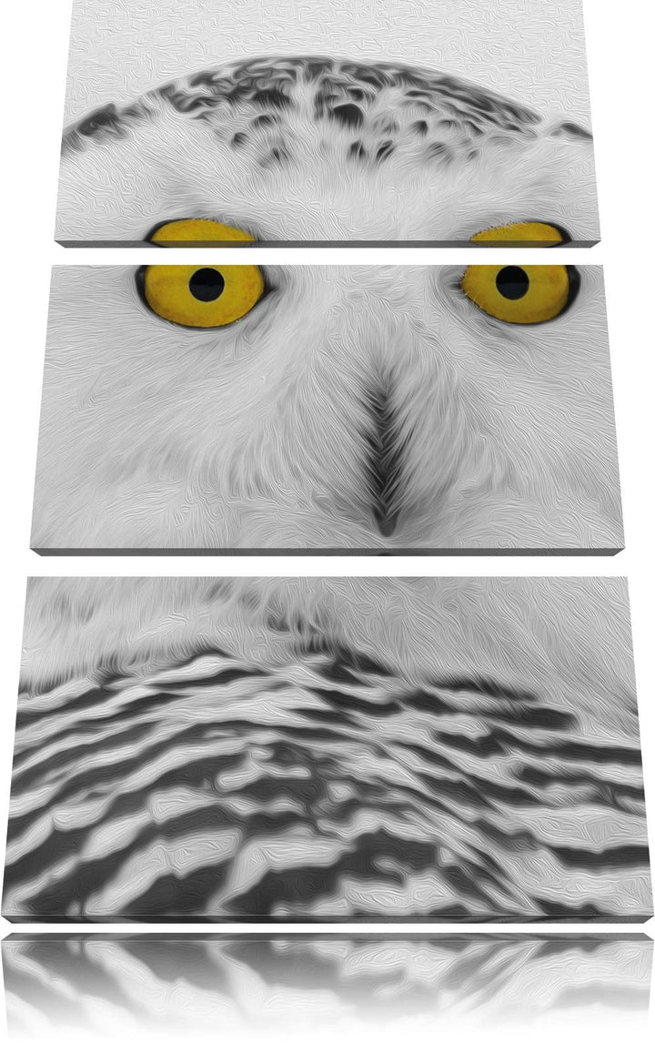Pixxprint grosse Schnee Eule als Leinwandbild - Grösse: 3-Teilig (120x80cm) - Wandbild - Kunstdruck