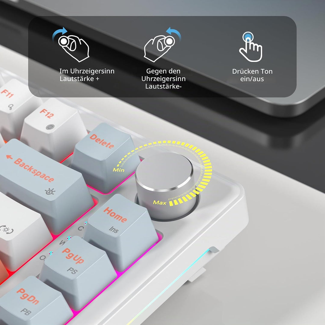 SOLIDEE Verkabelte Mechanische Gaming Tastatur 75 Prozent,hot-swap-fähige Mechanische Tastatur mit G
