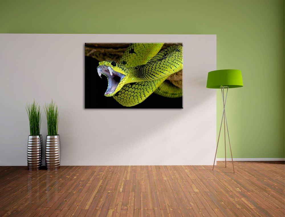 Giftige grüne Schlange Format: 100x70 auf Leinwand, XXL riesige Bilder fertig gerahmt mit Keilrahmen