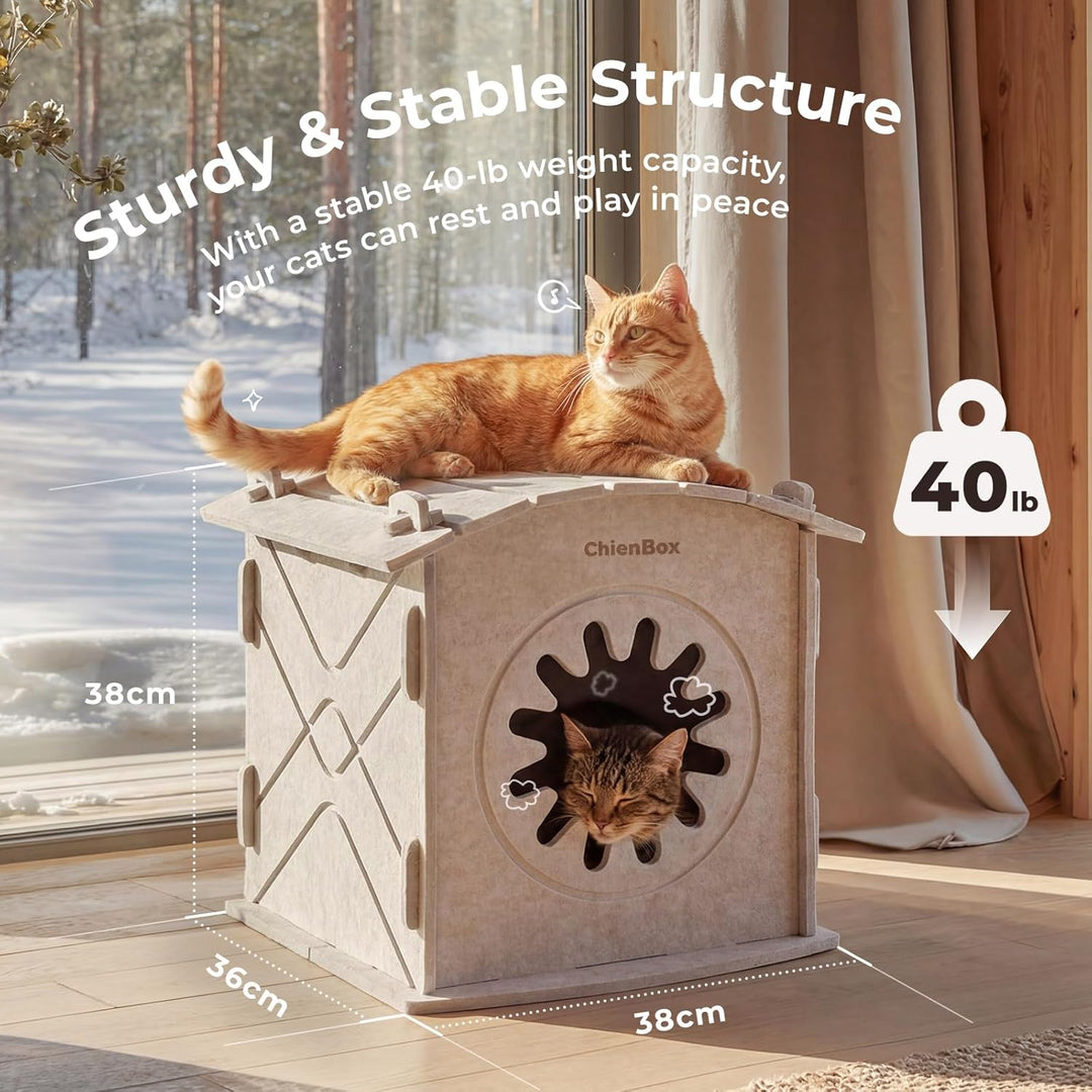 Katzenhöhle Filz: Gemütliches Katzenhaus Indoor, Katzenbett mit beruhigendem Kratzbogen, Robuste & K