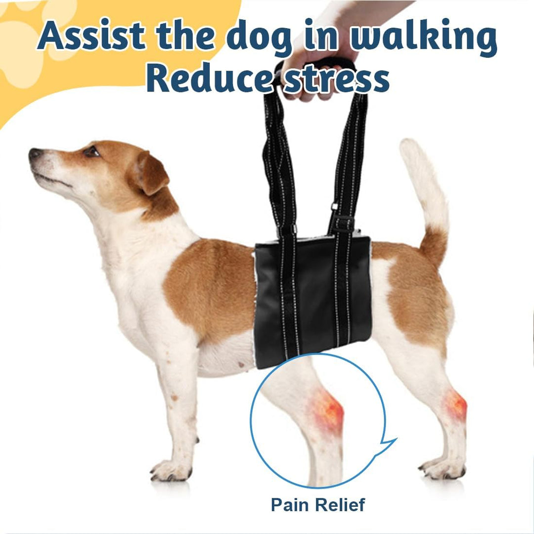 1 Stück Geeignet für Kleine Hunde Hunde Tragehilfe,Für die Unterstützung Von Behinderte Hunde und Äl