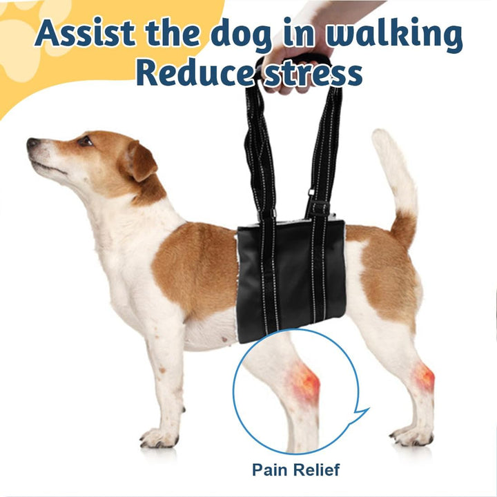 1 Stück Geeignet für Kleine Hunde Hunde Tragehilfe,Für die Unterstützung Von Behinderte Hunde und Äl