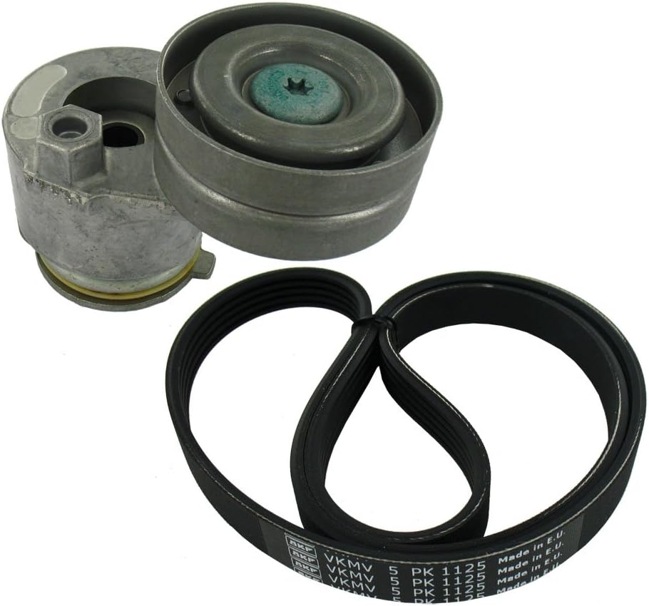 SKF VKMA 36069 Spannrollensatz für Nebentrieb