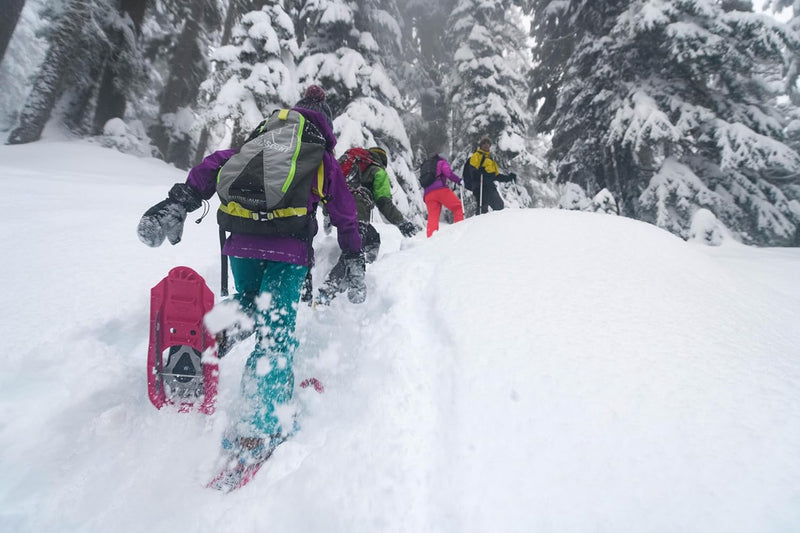 MSR Denali Shift Schneeschuhe für Kinder und Jugendliche Rosa, Rosa