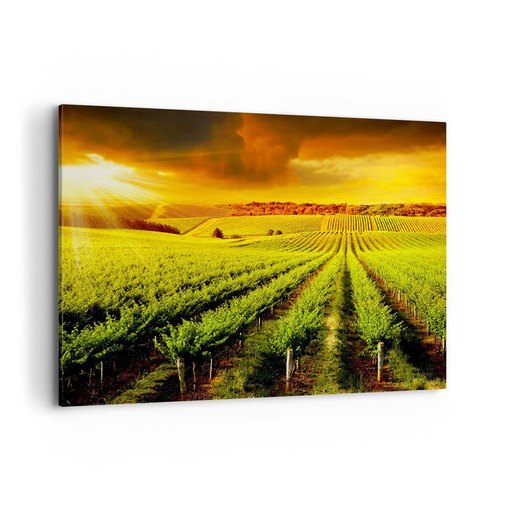 ARTTOR Bilder auf Leinwand 100x70cm Leinwandbild Land Weingut Pflanzung Gross Wanddeko Bild Schlafzi