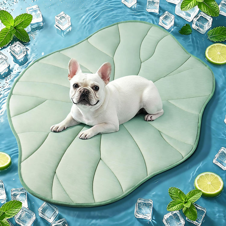 BG-BABYGO Hundekühlmatte, Reversibel, Selbstkühlend, Arc-Chill Kühlpad für Kleine und Mittelgrosse H