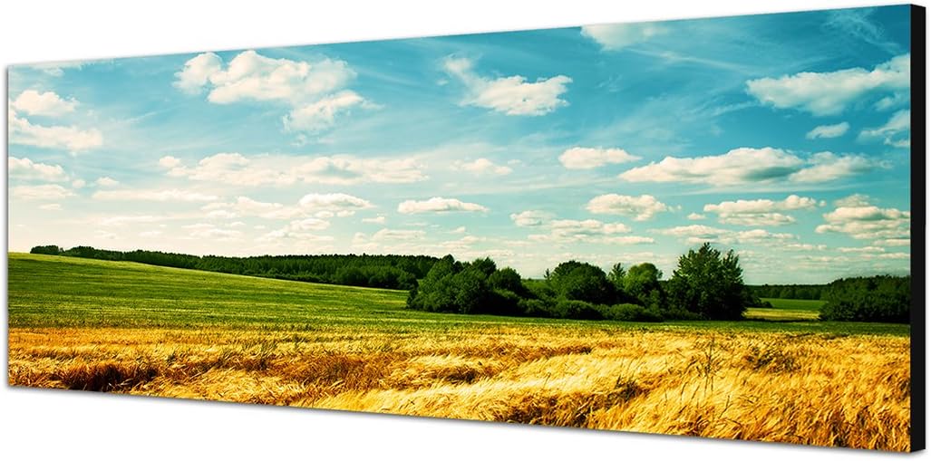 Paul Sinus Art Panoramabild auf Leinwand und Keilrahmen 150x50cm Landschaft Kornfeld Wolken Sommer