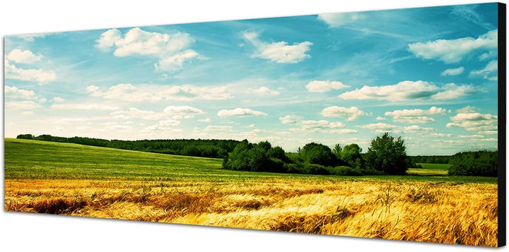 Paul Sinus Art Panoramabild auf Leinwand und Keilrahmen 150x50cm Landschaft Kornfeld Wolken Sommer