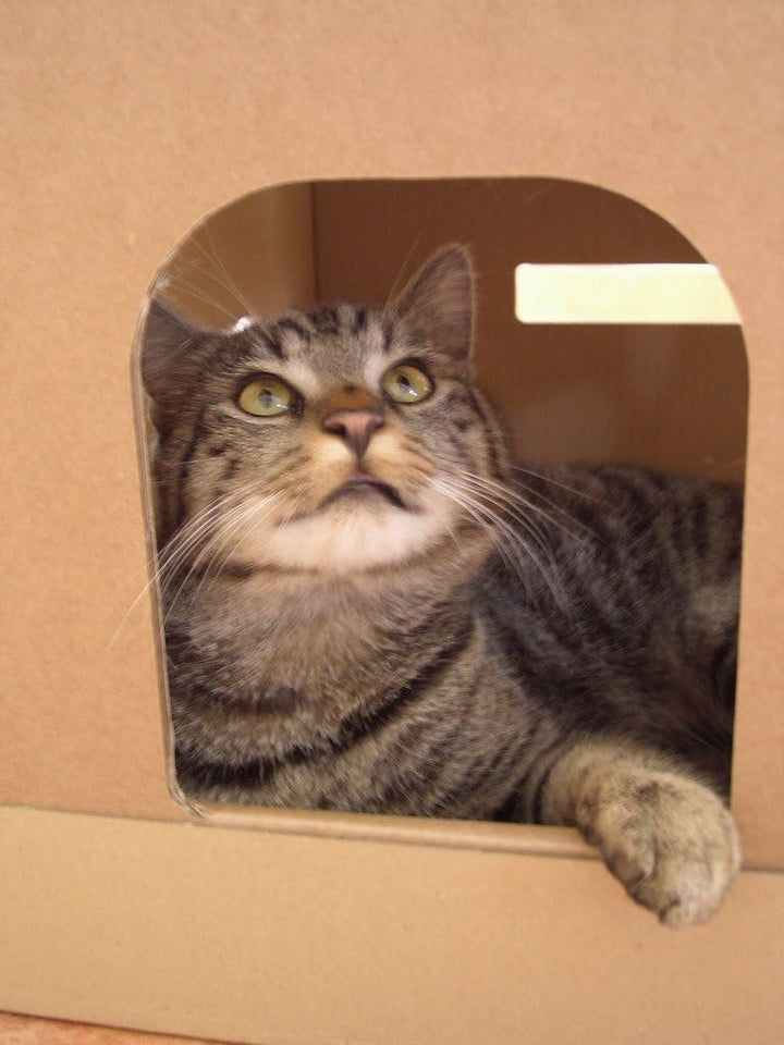 Katzenhaus aus Wellpappe, Katzenkorb, Katzenhöhle, Kartonhaus