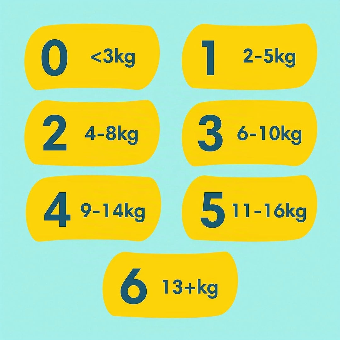 Pampers Premium Protection Baby Set mit Windeln Grösse 2 (4-8kg, 240 Stück) und Grösse 3 (6-10kg, 20