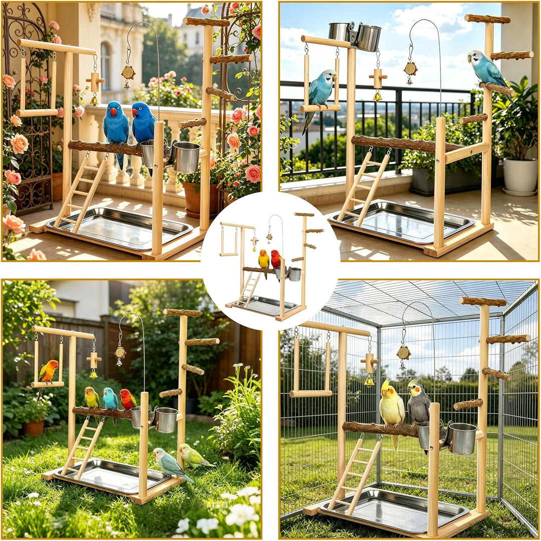 Grosses Wellensittich Spielplatz, Holz Vogel Spielplatz, Vogelspielplatz mit Feeder, Vogelbaum für W