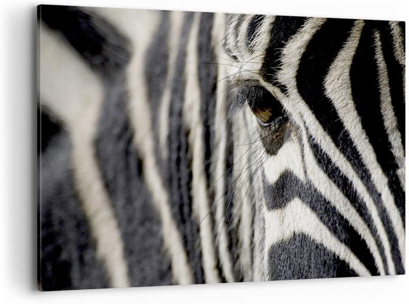 Bilder auf Leinwand 100x70cm Leinwandbild Zebra Streifen Tierwelt Safari Gross Wanddeko Bild Schlafz