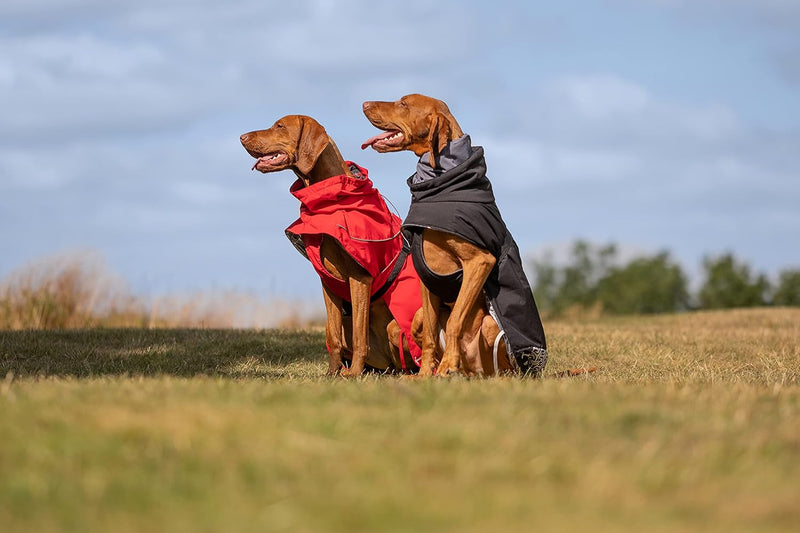 iEnergy™ JUD Hundemantel Hunde Winterjacke windabweisender, ultraleichter und reflektierender Hundem