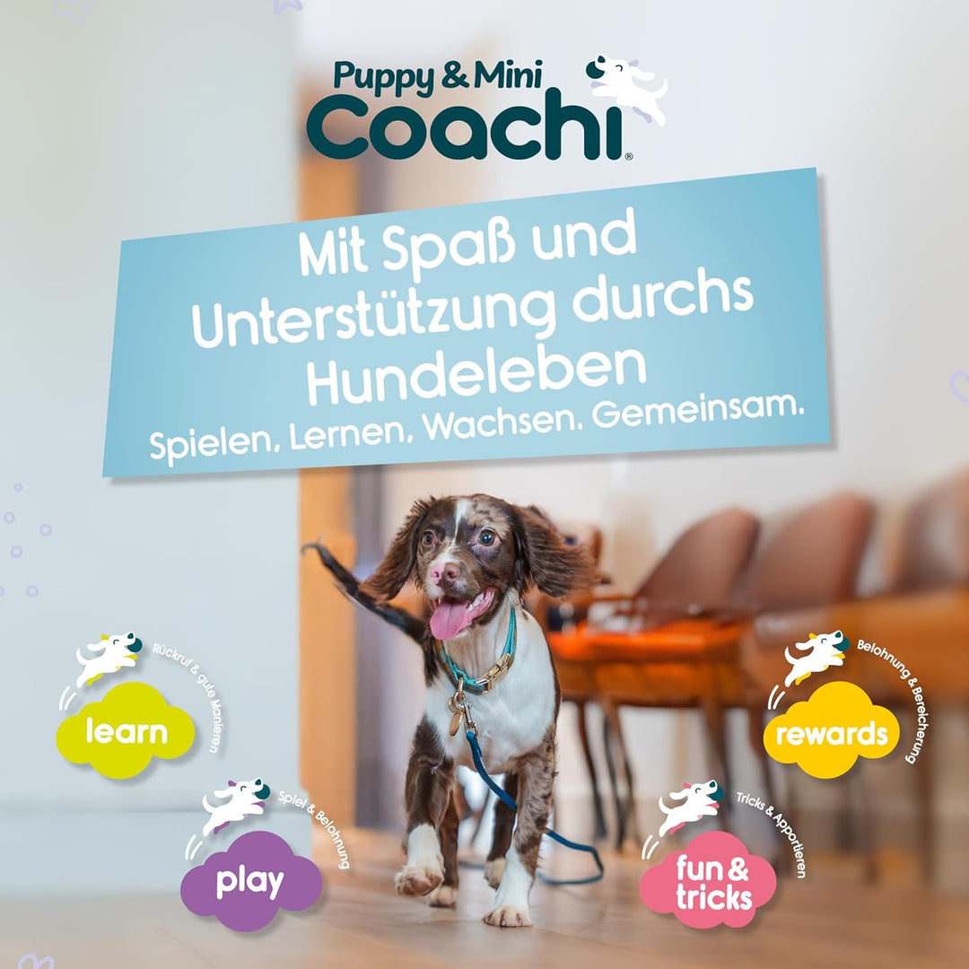 Coachi Puppy & Mini Tuggi Spider - Ideal für Zerr- und Apportierspiele, Hundespielzeug Bungee-Griff.