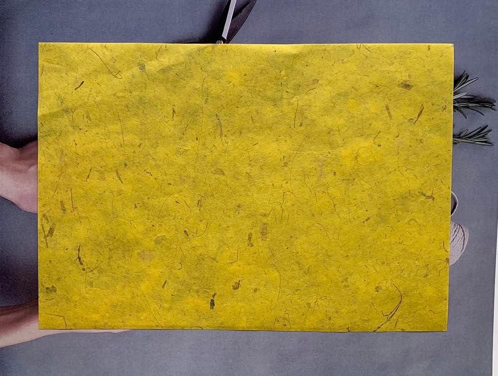 50 Blatt A4 Naturfaser Maulbeerbaum Maulbeerpapier Blatt Kunst Tissue Washi Papier Design Handwerk K
