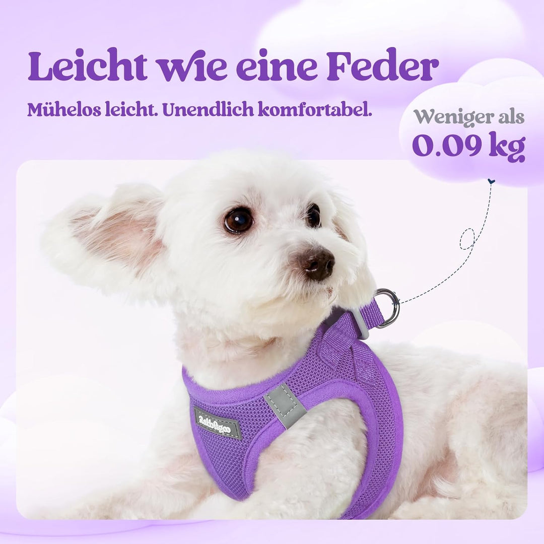 rabbitgoo Hundegeschirr Kleine Hunde mit Leine, Step-in Welpengeschirr Weich Mesh für Spaziergänge,