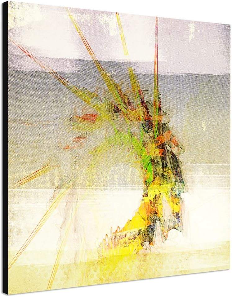 Paul Sinus Art Bild auf Leinwand Abstrakt302_60x60cm Strahlen Leuchtend Abstraktes Motiv quadratisch