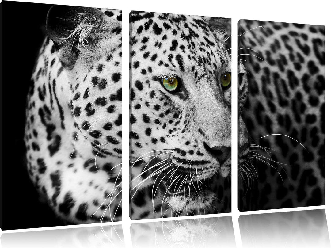 Pixxprint Dark Leopard mit grünen Augen als Leinwandbild | Grösse: 3 Teilig (120x80) | Wandbild| Kun