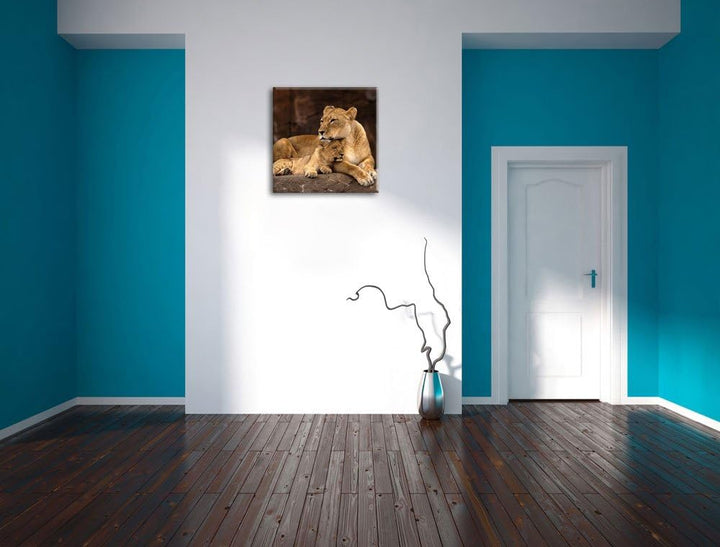 Pixxprint Löwe mit Löwenjungen als Leinwandbild Quadratisch/Grösse: 70x70 / Wandbild/Kunstdruck/fert