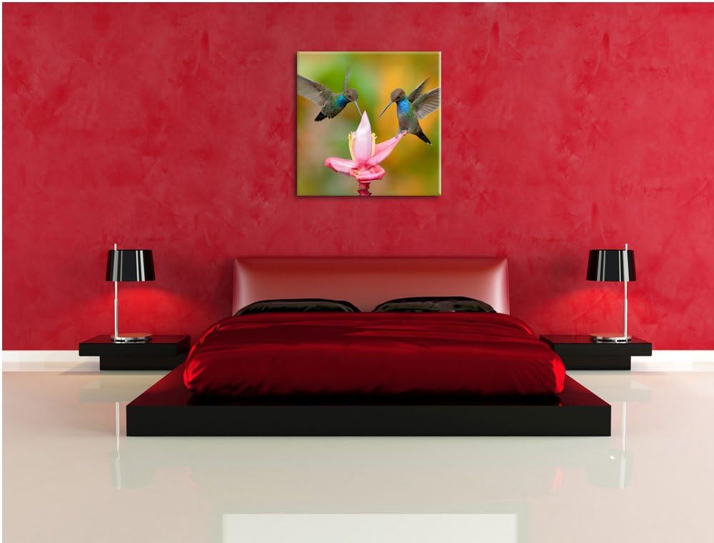 Pixxprint Zwei Fliegende Kolibris in den Tropen, Format: 70x70 auf Leinwand, 70x70