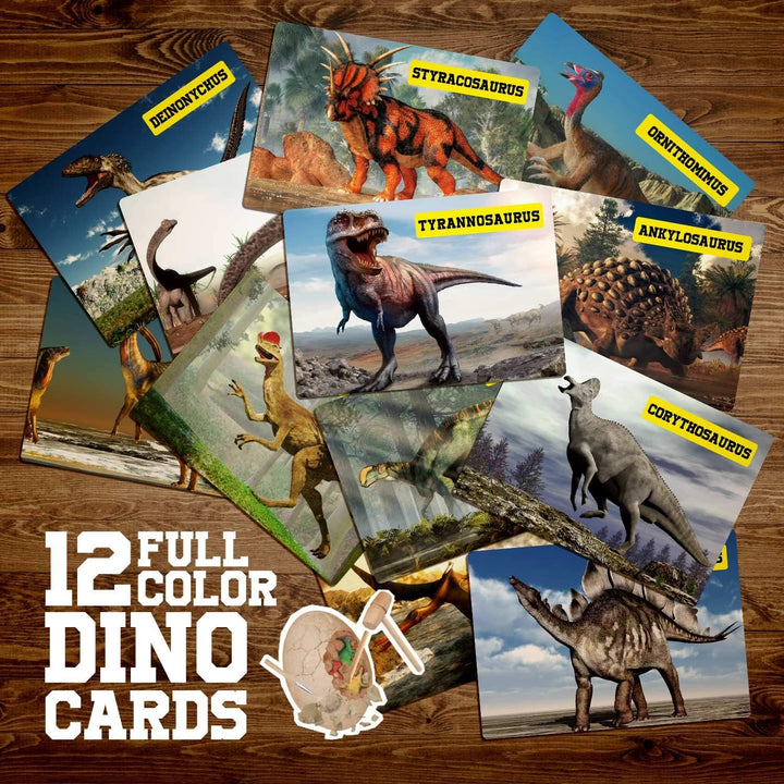 Dr. Daz Dinosaurier Ausgrabung Gross Ei Spielzeug für Kinder Dino Eier Ausgraben Geburtstag Party Se