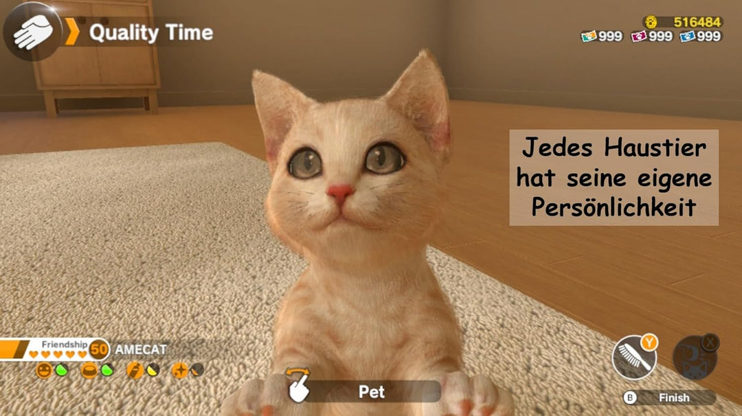Sold Out Little Friends: Dogs & Cats - [Nintendo Switch] Single, Single