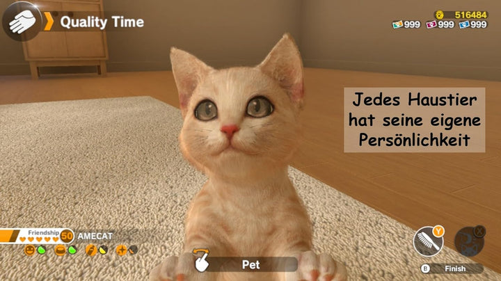 Sold Out Little Friends: Dogs & Cats - [Nintendo Switch] Single, Single