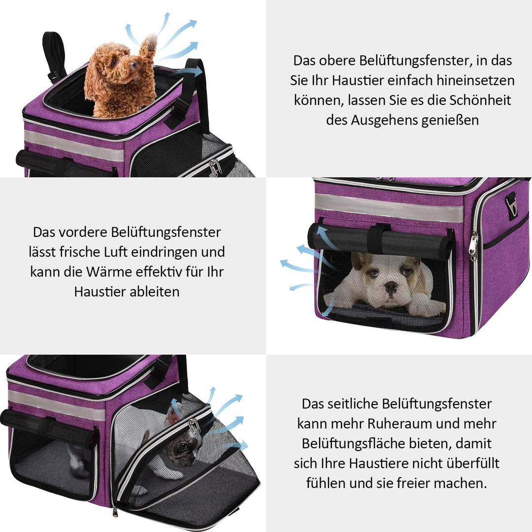 Haustier Fahrradtasche für Hunde Katzen, Haustier Rucksäke mit Vorne Atmungsaktiv Netzfenster, Faltb